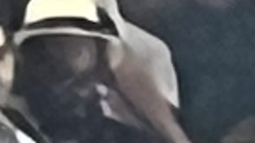 Momentos de tensión se vivieron en la semifinal tras la protesta de varios ambientalistas.