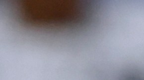 El novato sensación de los Yankees, Jasson Domínguez, será sometido a una cirugía Tommy John