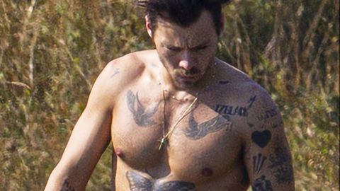 El cantante Harry Styles.
