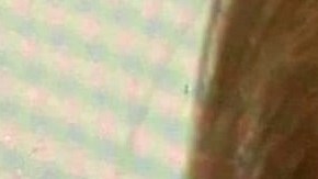 Asesinato de Makayla Fay Meave-Byers,