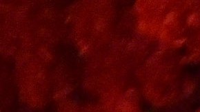 Mariana Downing y Marc Anthony mantuvieron un romance hace unos años.