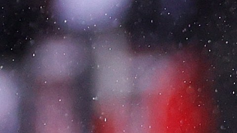 Un regreso fugaz: New York City FC pierde al argentino Maxi Moralez tras sufrir grave lesión