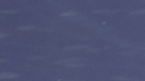 Novak Djokovic, primer finalista del US Open, tras derrotar al estadounidense Ben Shelton.