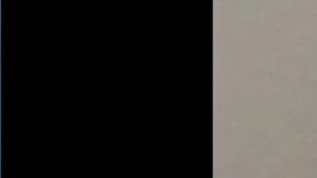 González manejaba su automóvil cuando se salió a un lado de la carretera y cayó en un estanque con hielo con sus hijos dentro del vehículo.