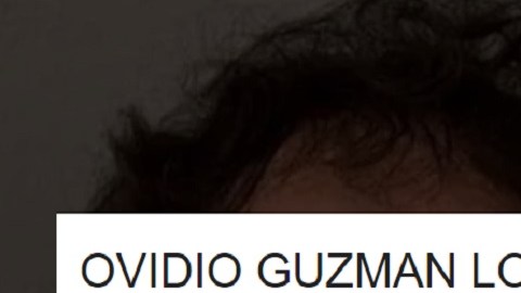 Ovidio Guzmán López se encuentra en una prisión en Chicago.