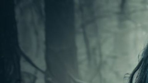 Un estudio revela porqué eran condenadas tantas brujas.
