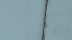 La modelo británica Demi Rose.