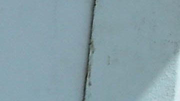 La modelo británica Demi Rose.