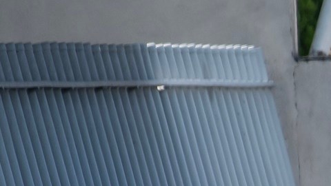 Presunta “purga” en una organización criminal: dejaron siete cadáveres y cinco bultos con restos humanos en calles de Monterrey