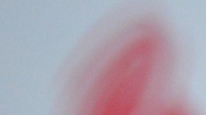 Lili Estefan disfruta de sus flores.