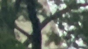 Padres recogieron a sus hijos de las escuelas bajo el torrencial aguacero. Vista de un sector de Queens.