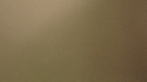 Picture,Of,Man,And,Woman,With,Wedding,Ring.young,Married,Couple