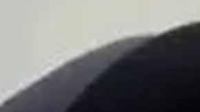 Daban de comer gente viva a sus tigres y forzaban a sus víctimas a probar el fentanilo: las torturas de Ovidio Guzmán y sus hermanos