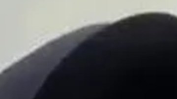 Daban de comer gente viva a sus tigres y forzaban a sus víctimas a probar el fentanilo: las torturas de Ovidio Guzmán y sus hermanos