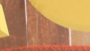 La actriz y cantante Ninel Conde.