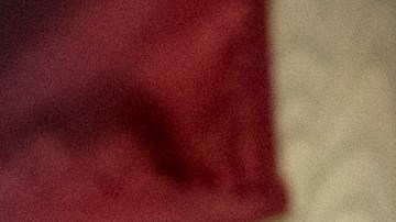 Ana Araujo y Pablo Lyle.