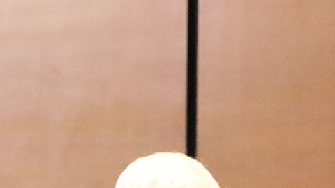 Jaime Maussan aseguró que cuerpos no humanos presentados ante Congreso de México son reales: “No son muñecos, ¿cómo voy a mentir?”