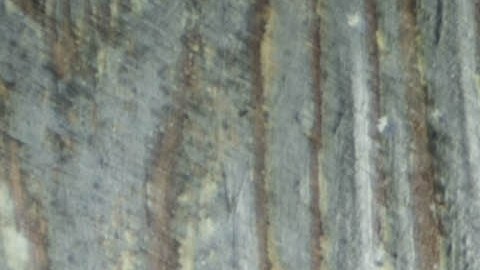 Mi cocina africana es un espacio para aprender recetas y conocer más de las costumbres de ese continente