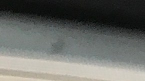 Se trata de una nueva estrategia de marketing de Fanta, para promocionar la Fanta Zero Azúcar