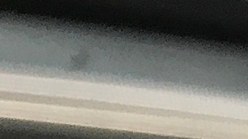 Se trata de una nueva estrategia de marketing de Fanta, para promocionar la Fanta Zero Azúcar