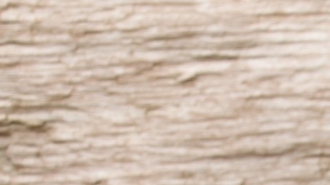 Por ser bajo en calorías y sin grasas, el repollo es muy utilizado en dietas saludables o para bajar de peso