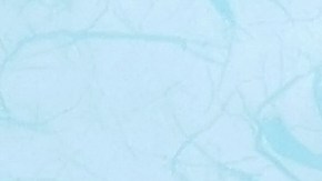 Una buena alimentación garantiza la desintoxicación de los riñones