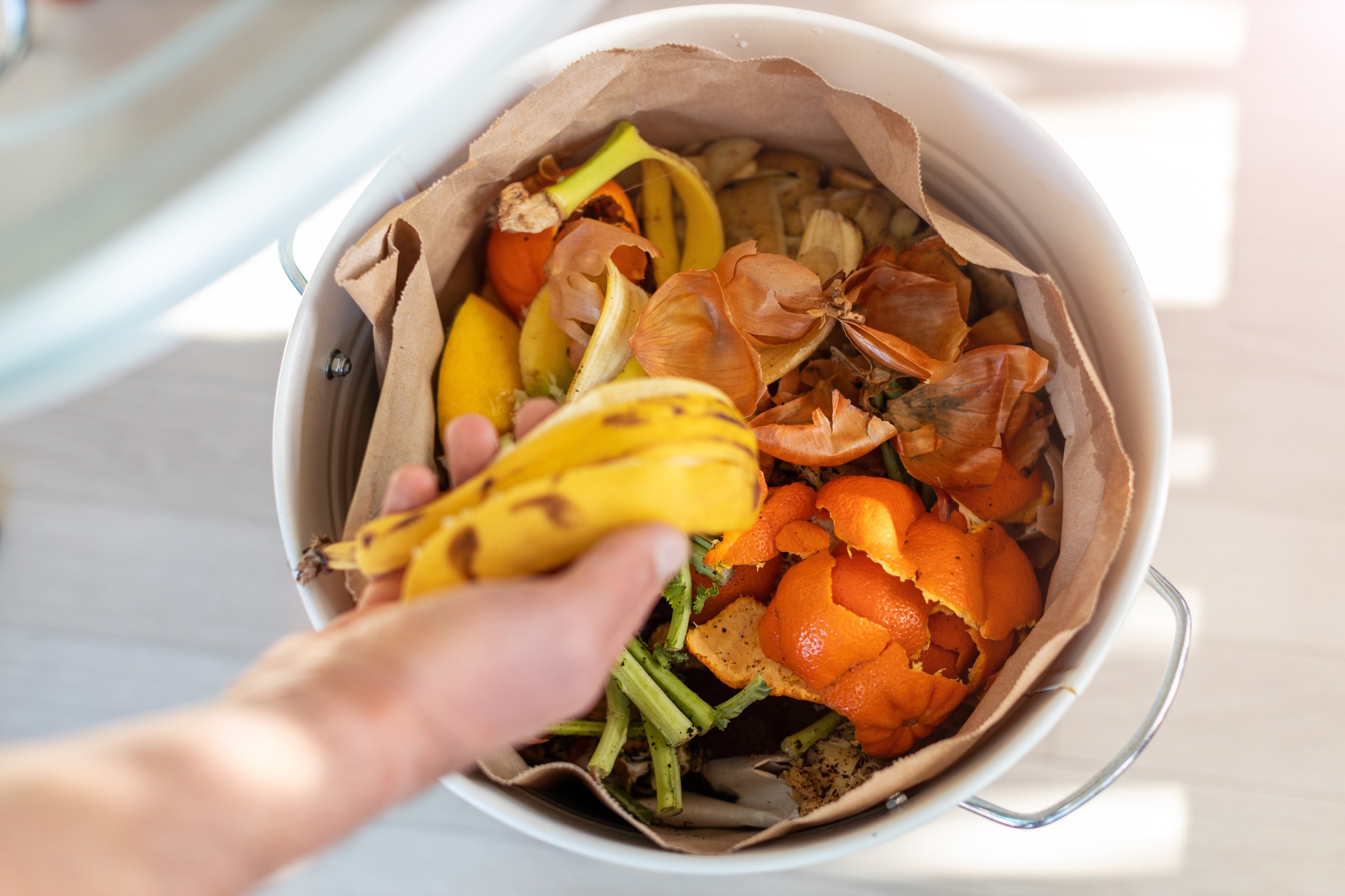 Cómo ordenar la nevera para que la comida que compras no termine en la  basura