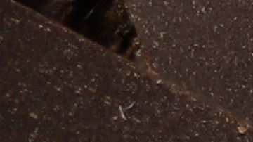 Cacao