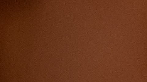El Servicio de Inspección y Seguridad Alimentaria (FSIS) del Departamento de Agricultura de EE.UU. recomienda desecharse de los productos o devolverlos al lugar de compra