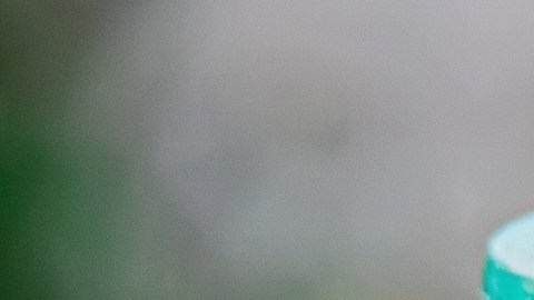 La salvia tiene muchas propiedades, entre ellas: antiséptica, cicatrizante, antioxidante, digestiva y  antibacteriana