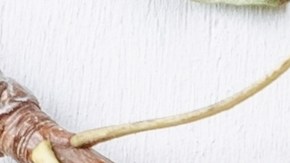 Las manzanas son el alimento protagonista del otoño, que está presente en una gran variedad de comidas y bebidas.