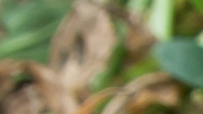 Solo entre el momento de la cosecha y la venta al por menor se pierde el 13 % de la producción alimentaria