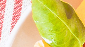 Los desayunos ricos en azúcares y almidones, son apetitosos y nos aportan energía de manera instantánea.