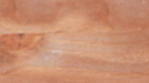 Los alimentos que ayudan a cuidar el intestino son los probióticos, la fibra soluble y los alimentos fermentados