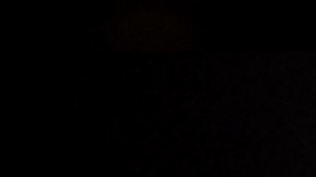 Como entrada sirvieron bogavante y cangrejo con almendras frescas