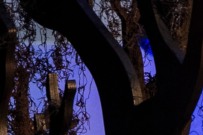 El presidente Joe Biden y la primera dama Jill, se preparan para dar la bienvenida a los traidores al jardín Sur de la Casa Blanca en Washington. (Foto: EFE/EPA/JIM LO SCALZO)