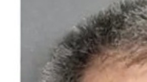 Jeff y Steven Grossman.