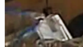 Sospechoso de los ataques.