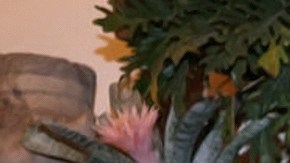 El actor Julián Gil junto a su prometida Valeria Marín.