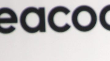 Carlos Adyan se casó con Carlos Quintanilla.