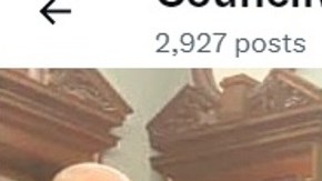 Perfil en X (Twitter) de Inna Vernikov.