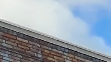 Trabajadores piden que el uso de inteligencia artificial se regule y no los desplace de sus oficios