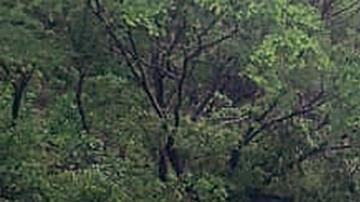 Huracán Otis en Acapulco