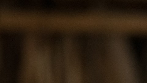 Daniel Noboa es el nuevo presidente de Ecuador: "Empezaremos a trabajar por un nuevo país"