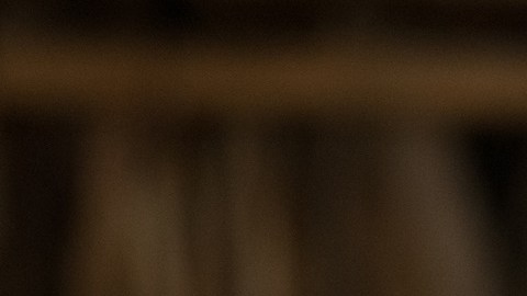 Daniel Noboa es el nuevo presidente de Ecuador: "Empezaremos a trabajar por un nuevo país"