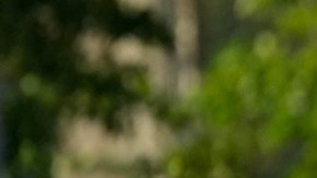 A la fecha no se han registrados hechos violentos en los planteles públicos de NYC.