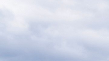 La primera fase del parque Freshkills en Staten Island ya se encuentra abierta al público.