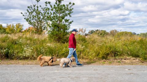 La primera fase del parque Freshkills en Staten Island ya se encuentra abierta al público.