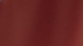 La nueva legislación está siendo patrocinada por la concejal de Harlem y partes de El Bronx, Diana Ayala.