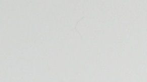 La modelo Demi Rose.